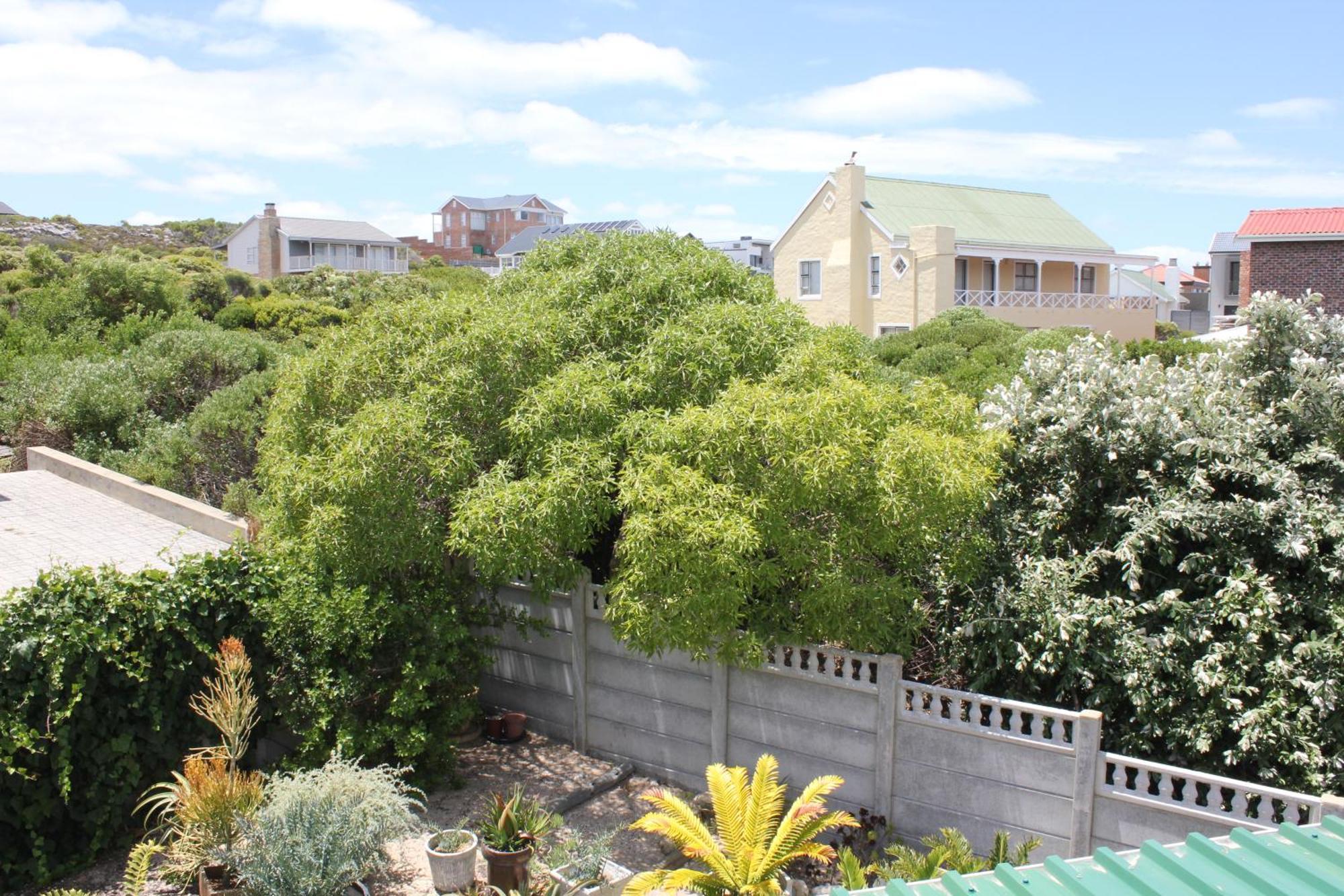 The Sun Catcher Bed & Breakfast Struisbaai Room photo